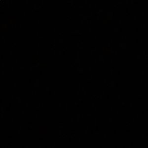 Meet your Posher, Jerry